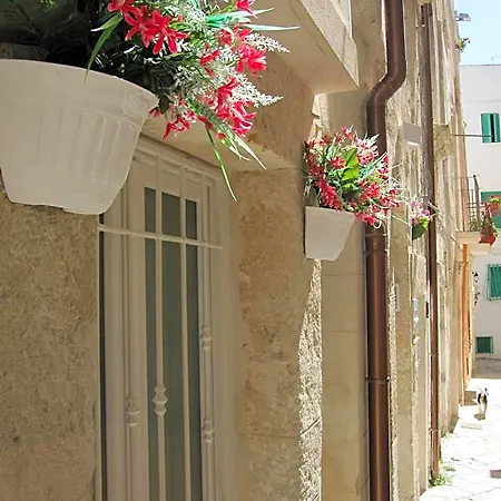 Casa Nave Monopoli